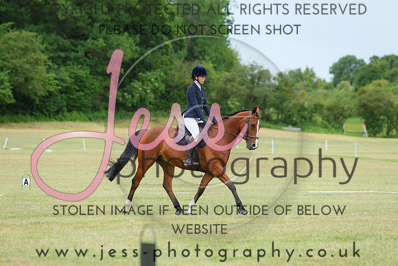 XC5_2966