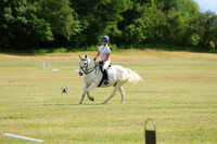 XC5_2836