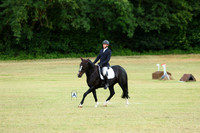 XC5_3854