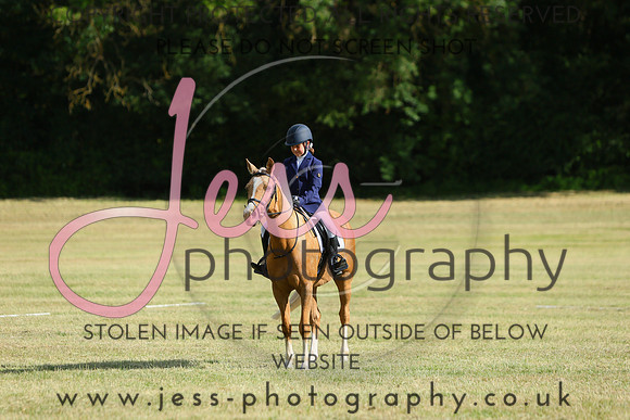 XC5_3198