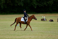 XC5_2852