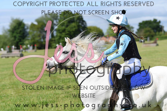 ACE (78)