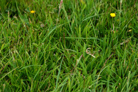 IMG_0023