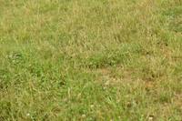 JPG_0590