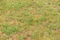 JPG_0742