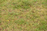 JPG_0757