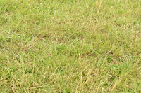 JPG_1072