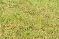 JPG_1067