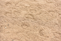 JPG_9008
