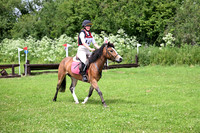 TGHT1 (100)