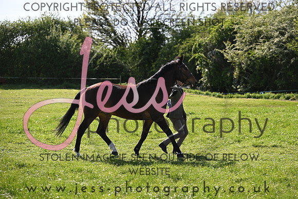 TGIS (398)