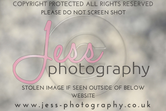 JES_6083