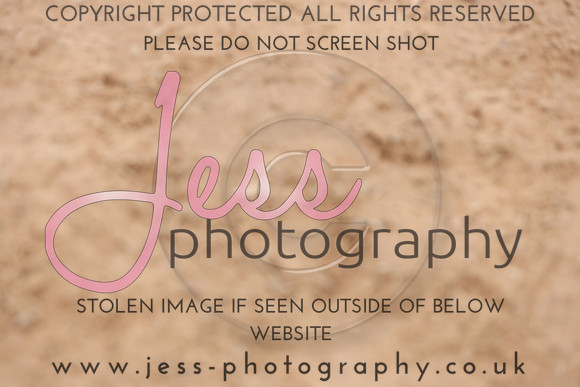 TGSJ1261