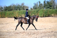ACE (70)