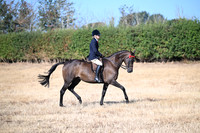 ACE (72)