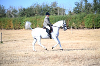 ACE (73)