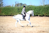 ACE (78)