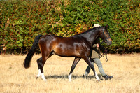 IMGM0087
