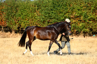 IMGM0085