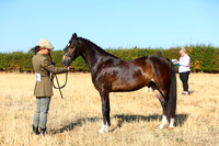 IMGM0109