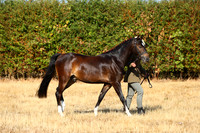 IMGM0086