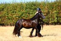 IMGM0279