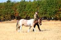 IMGM0336