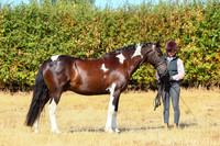 IMGM0287