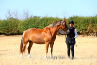 IMGM0365