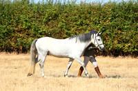IMGM0335