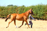 IMGM0447