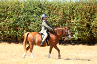 IMGM0547