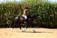 IMGM0781