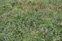 JPG_8985