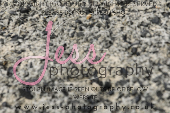 JES_6253