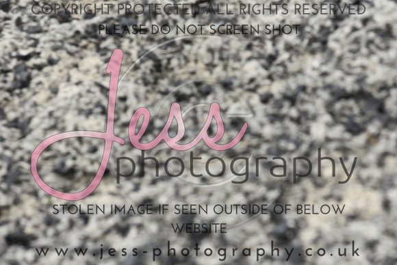 JES_6285