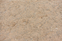 JPG_0258