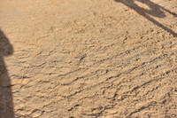 JPG_9623
