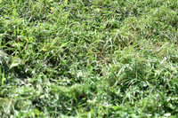 JPG_9395