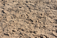 JPG_0019