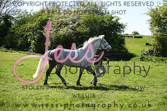 TGIS (307)