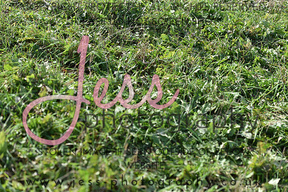 JPG_9233