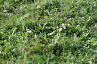 JPG_9216