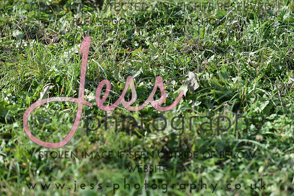 JPG_9216