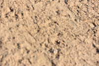 JPG_0171