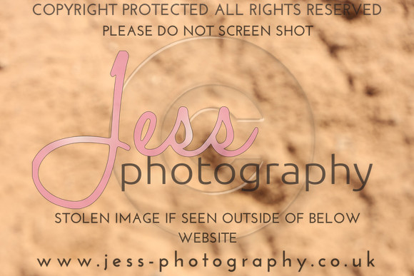 TSJ_0748