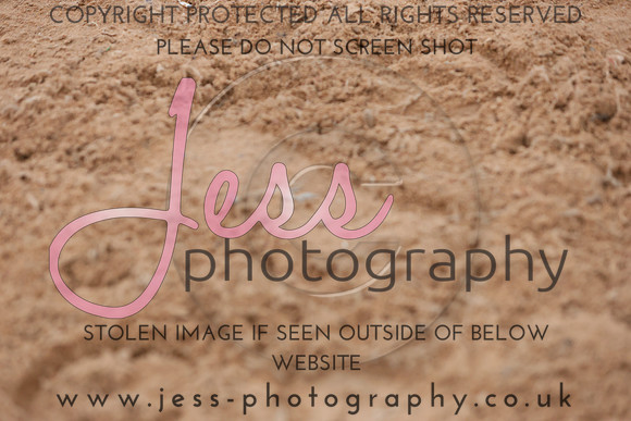 TGSJ0136