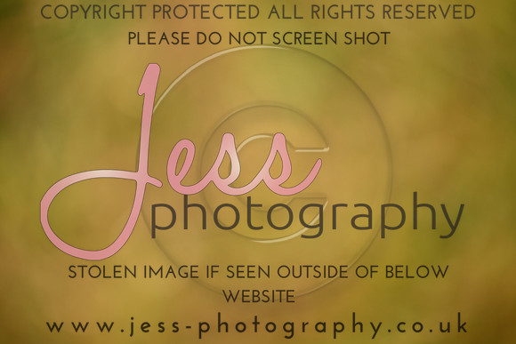 JES_4783