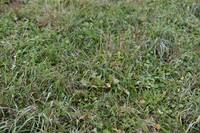 JPG_8974