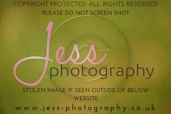 JES_4358